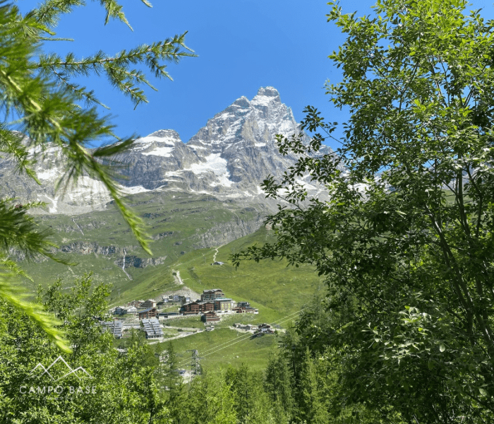 Monte Cervino Monte Cervino